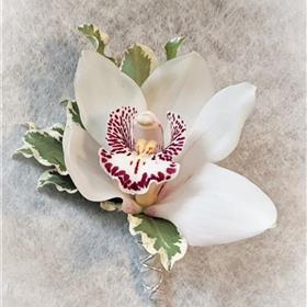 fwthumbButtonhole Cymbidium Orchid.jpg